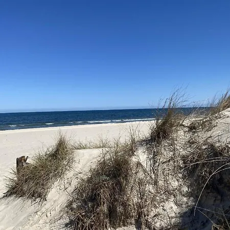 Marin, 04 Цинновиц