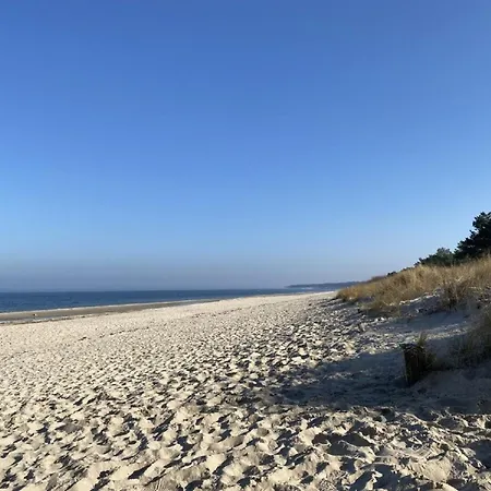 Marin, 04 * Цинновиц