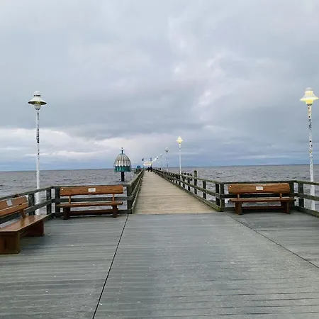 Marin, 04 * Цинновиц